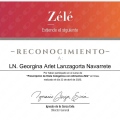 Ampliar imagen: certificate 6