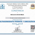 Ampliar imagen: certificate 11