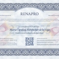 Ampliar imagen: certificate 6
