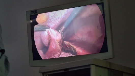 Carolina Terrazas Ramirez-12