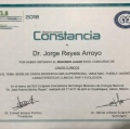 Ampliar imagen: certificate 7