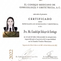 Ampliar imagen: certificate 1