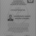 Ampliar imagen: certificate 4