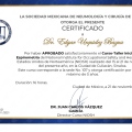 Ampliar imagen: certificate 4