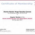 Ampliar imagen: certificate 7
