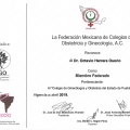 Ampliar imagen: certificate 3