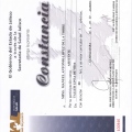 Ampliar imagen: certificate 40