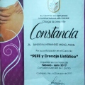 Ampliar imagen: certificate 13