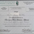 Ampliar imagen: certificate 3