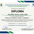 Ampliar imagen: certificate 4