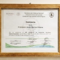 Ampliar imagen: certificate 6