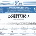 Ampliar imagen: certificate 133
