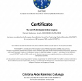 Ampliar imagen: certificate 7
