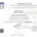 Ampliar imagen: certificate 13