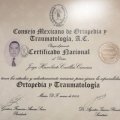 Ampliar imagen: certificate 4