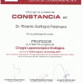 Ampliar imagen: certificate 89