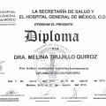 Ampliar imagen: certificate 26