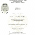 Ampliar imagen: certificate 5
