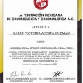 Ampliar imagen: certificate 19