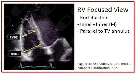 Gonzalo Espinosa Islas-12