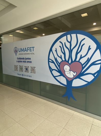 Alejandro Gaspar Vera-8