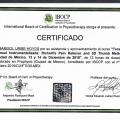 Ampliar imagen: certificate 14