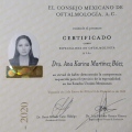 Ampliar imagen: certificate 1