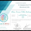 Ampliar imagen: certificate 27