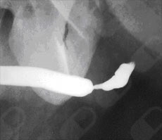 Ma Josefina Morin Rangel-8