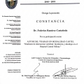 Ampliar imagen: certificate 17
