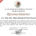 Ampliar imagen: certificate 7