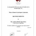 Ampliar imagen: certificate 10
