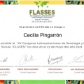 Ampliar imagen: certificate 13