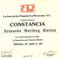 Ampliar imagen: certificate 28