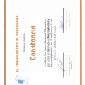Ampliar imagen: certificate 8