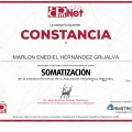 Ampliar imagen: certificate 16