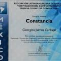 Ampliar imagen: certificate 5