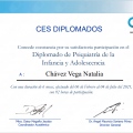 Ampliar imagen: certificate 7