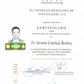 Ampliar imagen: certificate 2