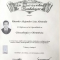 Ampliar imagen: certificate 2