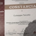 Ampliar imagen: certificate 10