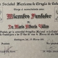 Ampliar imagen: certificate 11