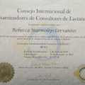 Ampliar imagen: certificate 5