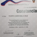 Ampliar imagen: certificate 9