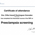 Ampliar imagen: certificate 5
