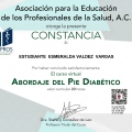 Ampliar imagen: certificate 15