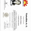 Ampliar imagen: certificate 3