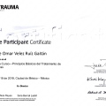 Ampliar imagen: certificate 9