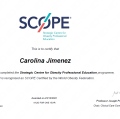 Ampliar imagen: certificate 2