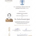 Ampliar imagen: certificate 1